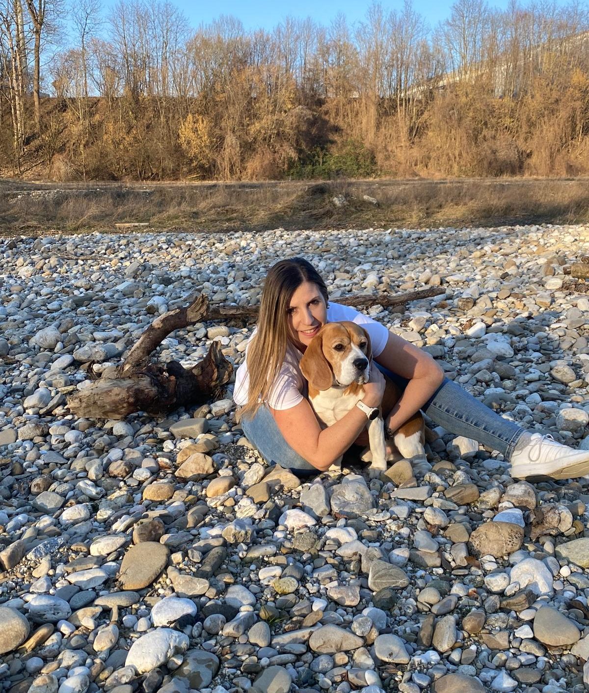#Massage#Energetik#Hund#Harmony#Hounds#Bianca